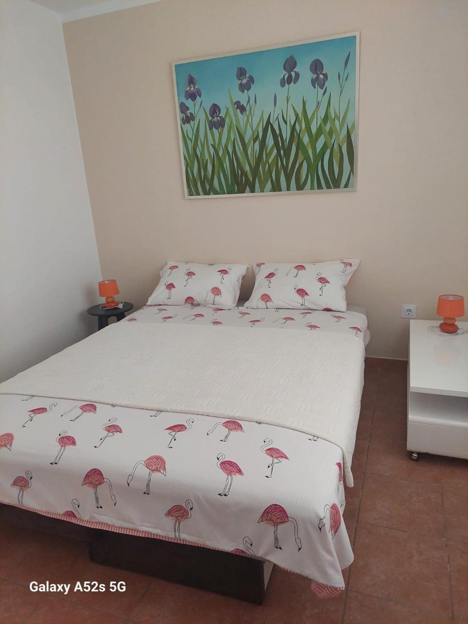 Apartments Pimpinella プレマントゥーラ エクステリア 写真