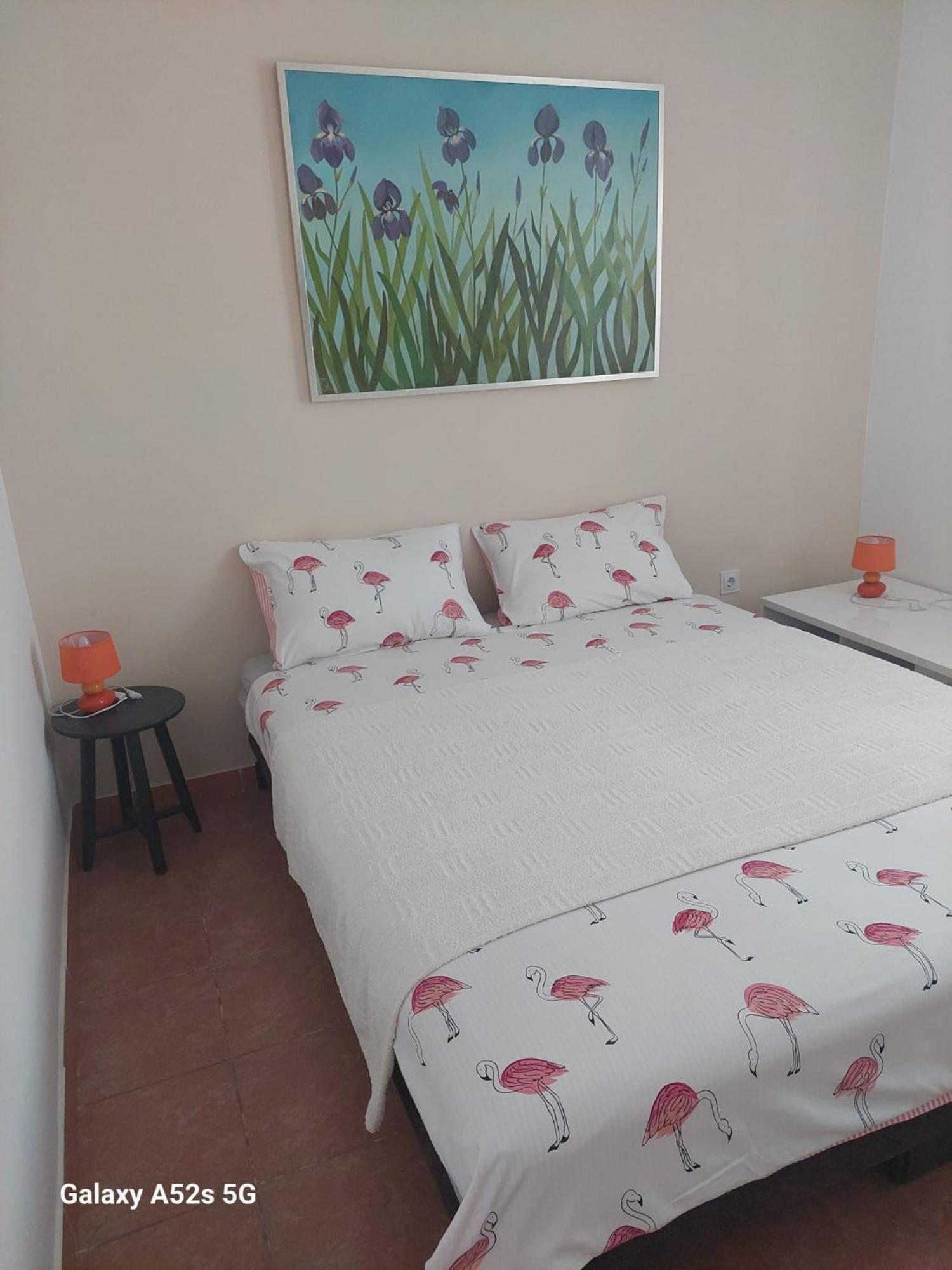 Apartments Pimpinella プレマントゥーラ エクステリア 写真